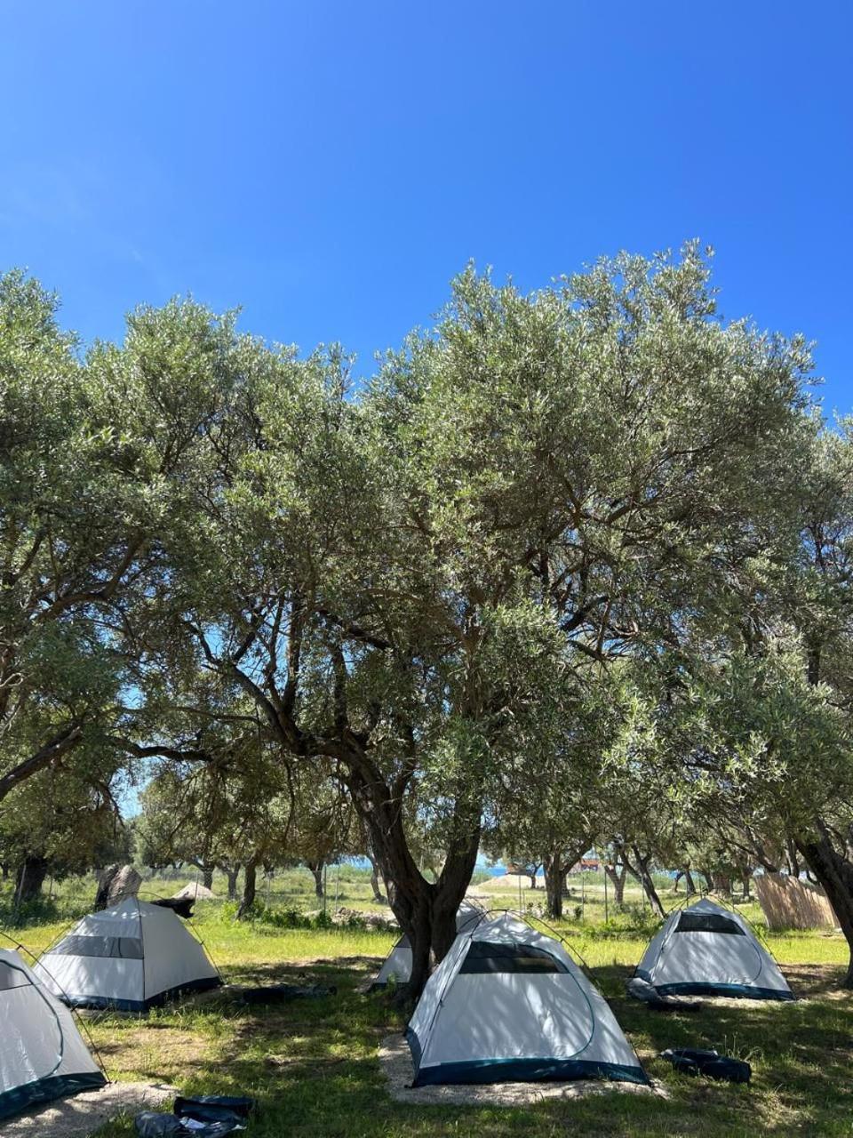 Borsh Olive Camping Hotel Екстериор снимка